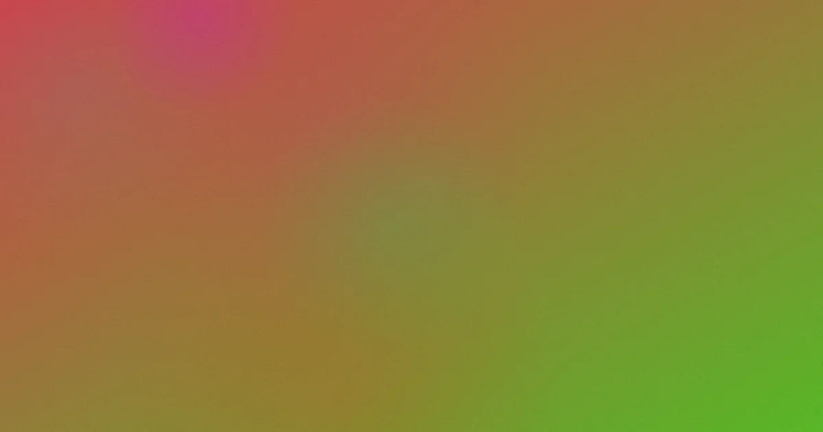 两个毫不动摇测评：避坑版